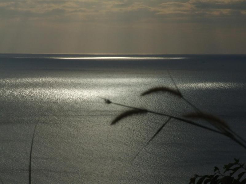 パラ リゾート チャン島 エクステリア 写真